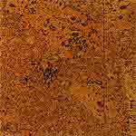 Accent (ES 1710)