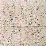 Mist (LS 1212)