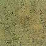 Olive (LS 0312)