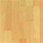 Beech 3 Strip (PT 5525)