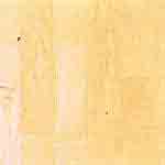 Maple 3 Strip (PT 5625)