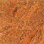Accent (CS 1720)