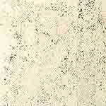 Salt (CF 1121)